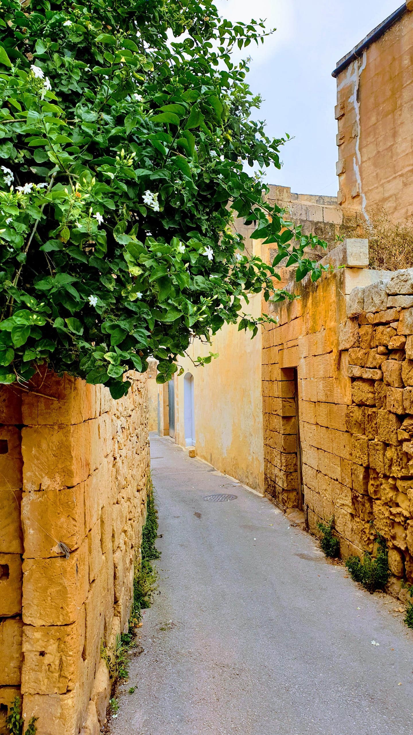 Uutta ja vanhaa sekaisin, Zurrieq, Malta 2021-2025