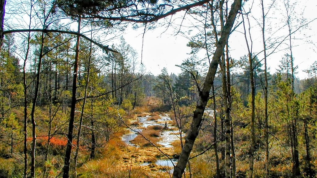 Hyvä matkakohde vai hyvä paikka asua - Paimion luontopolku