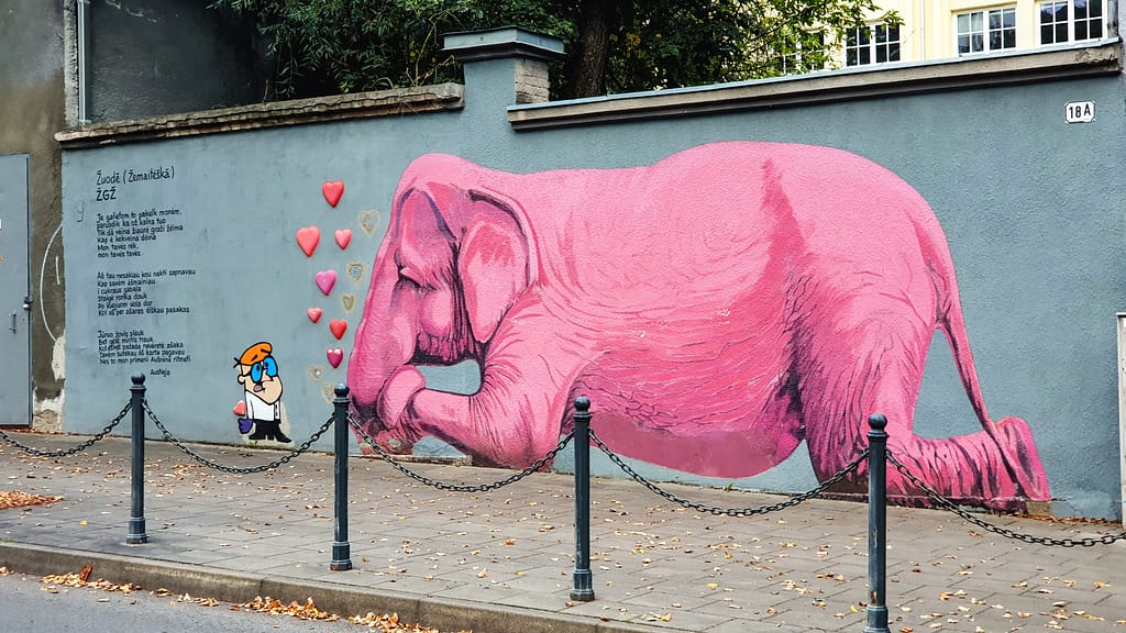 Pink Elephant (Rožinis dramblys), E. Ožeškienės g. 18A.