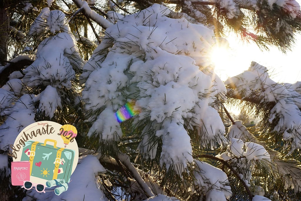 Missä olit silloin - Tammikuu - pääkuva