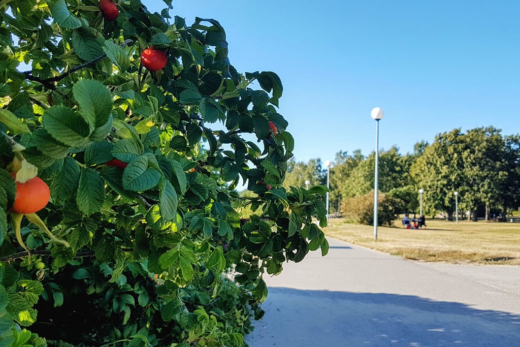 Autolla Euroopassa - Via Baltica