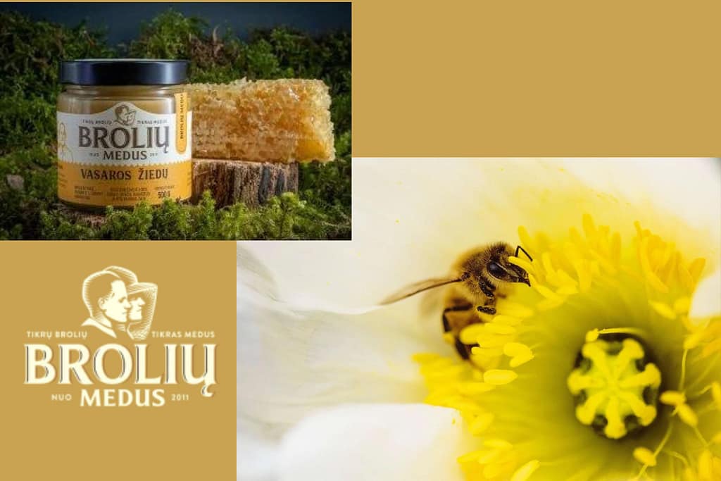 Tuliaisia Liettuasta - BROLIŲ MEDUS
