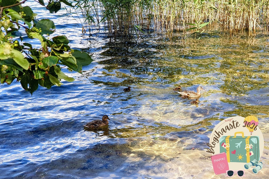 Missä olit silloin - Kesäkuu pääkuva