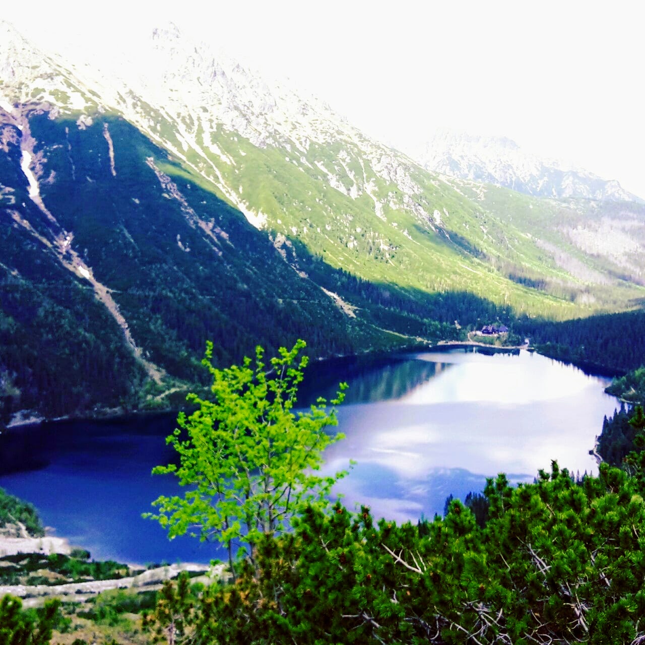 Tatry Wisokie