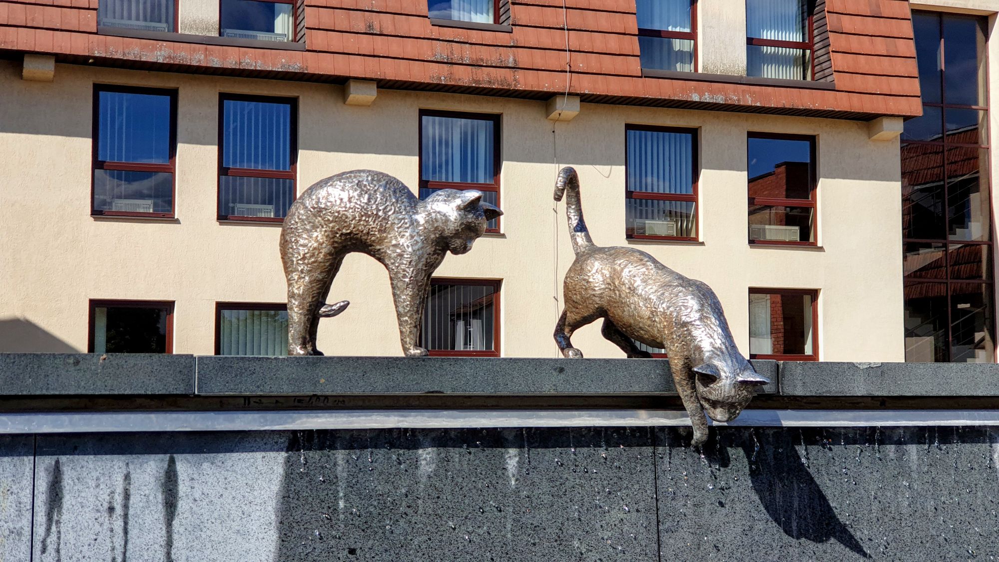 Marijampolėn kissat - Suihkulähde