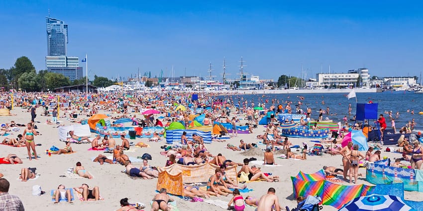 Turistien kärpäspaperit - banner