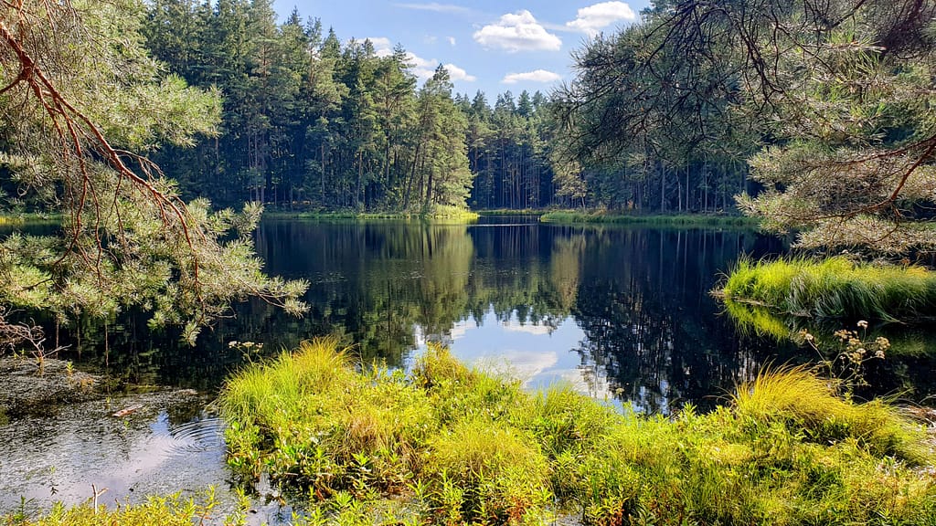 Puolan kierros 2025 - Wigierski Park Narodowy