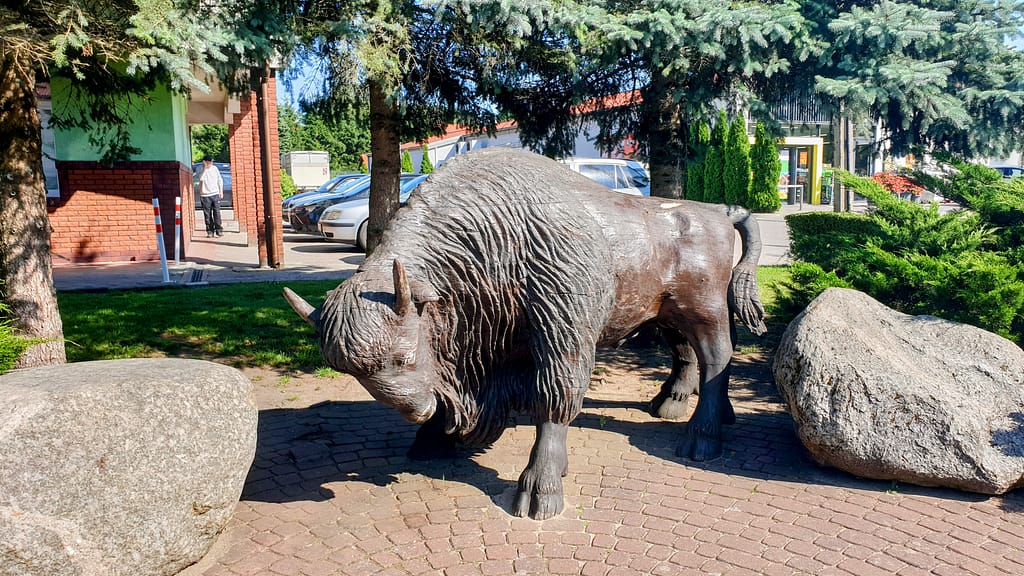 Kruklanki, Puola
