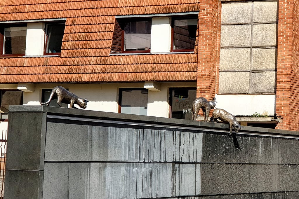 Marijampolėn kissat - suihkulähde