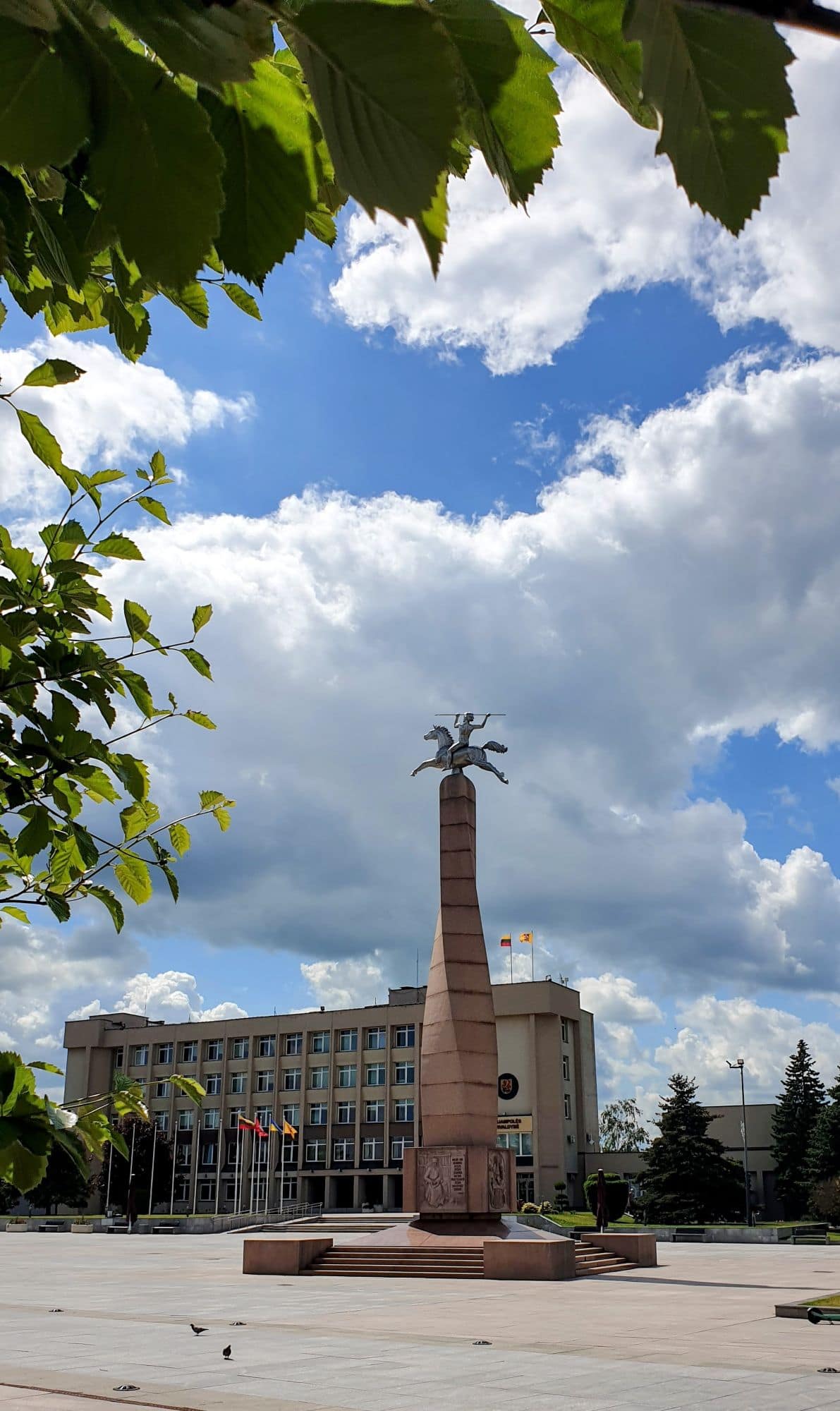 Marijampolėn kissat - pääaukio
