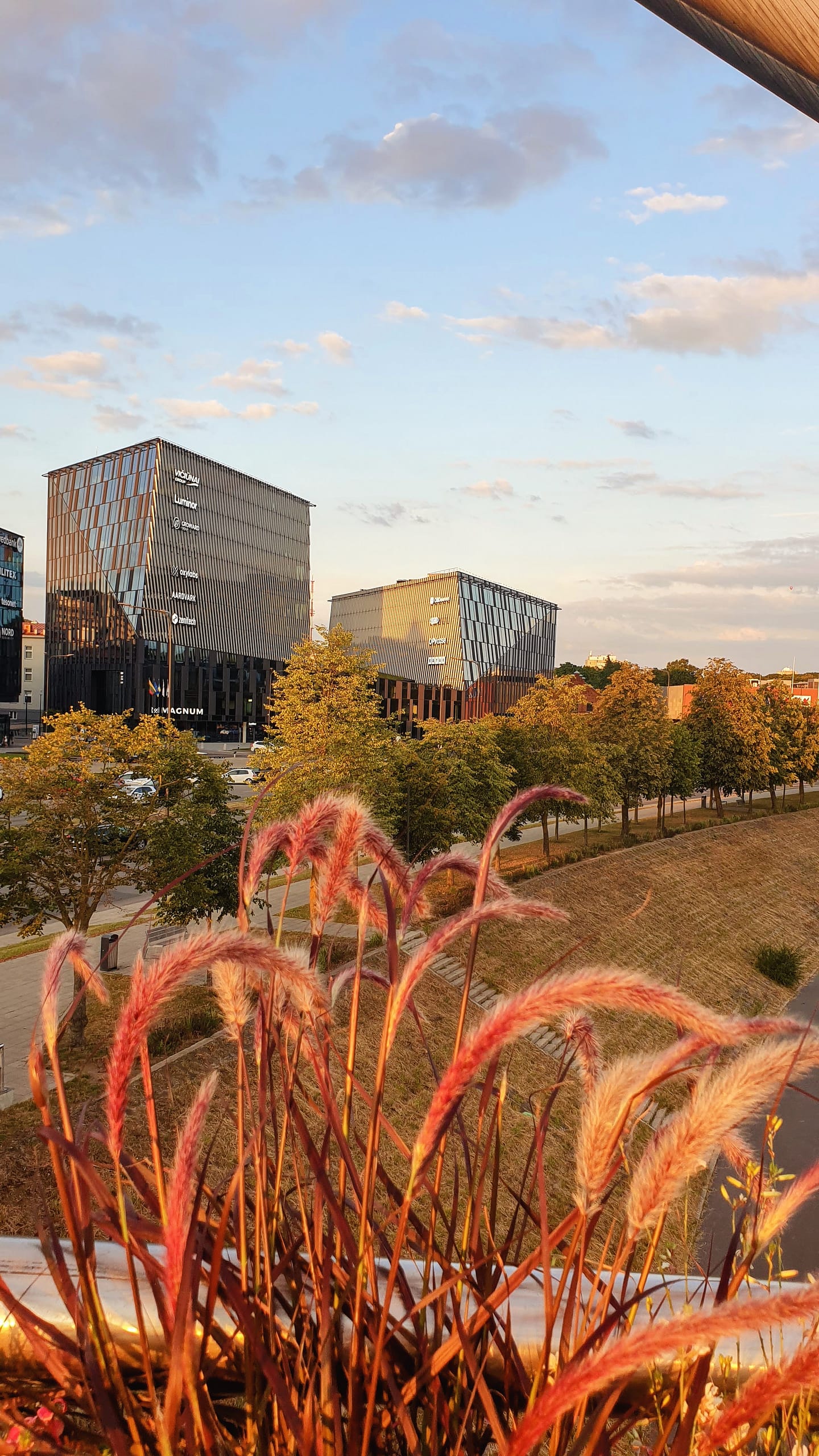 Kaunas