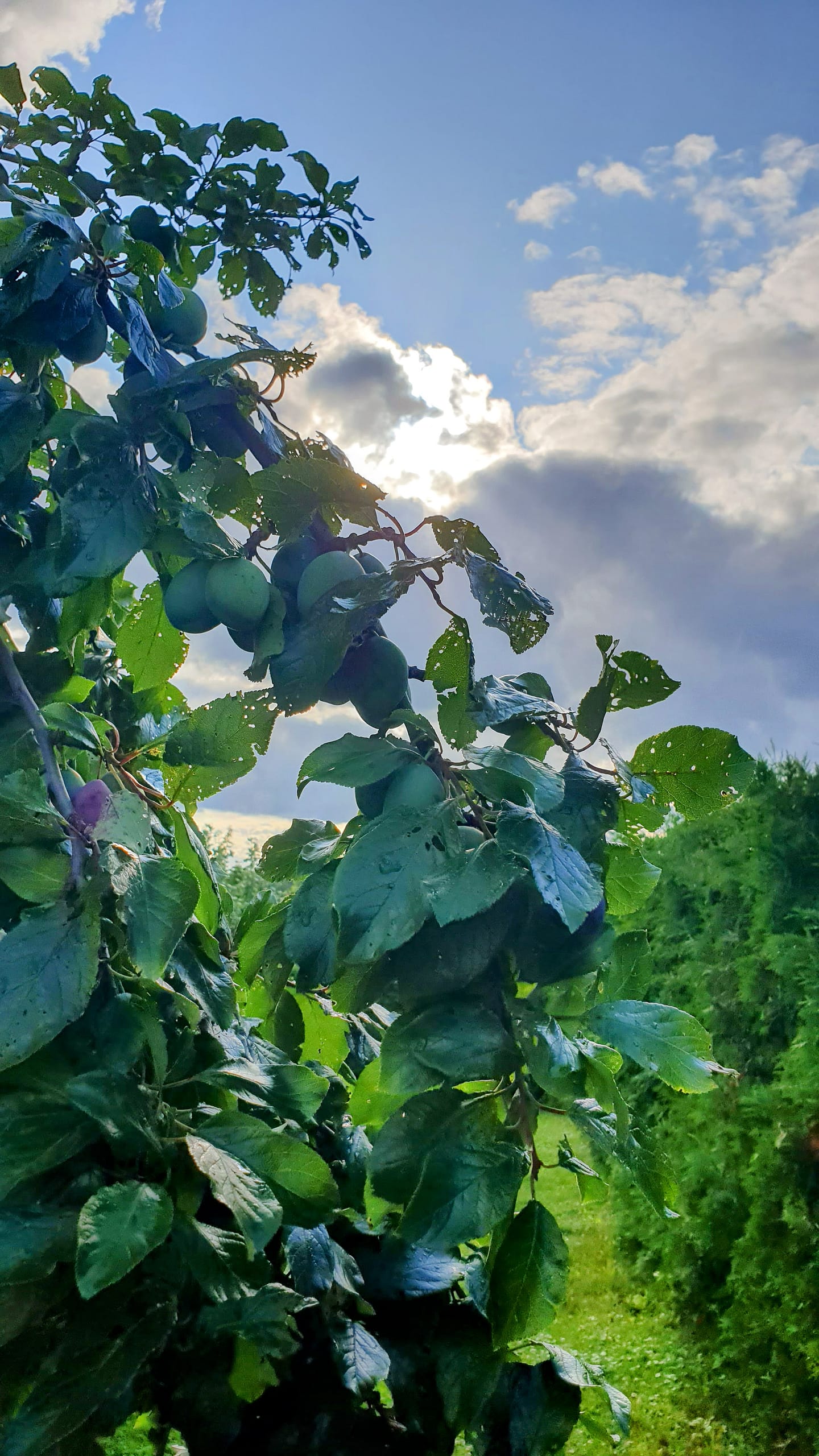 Mazury majoitukset - Ukta