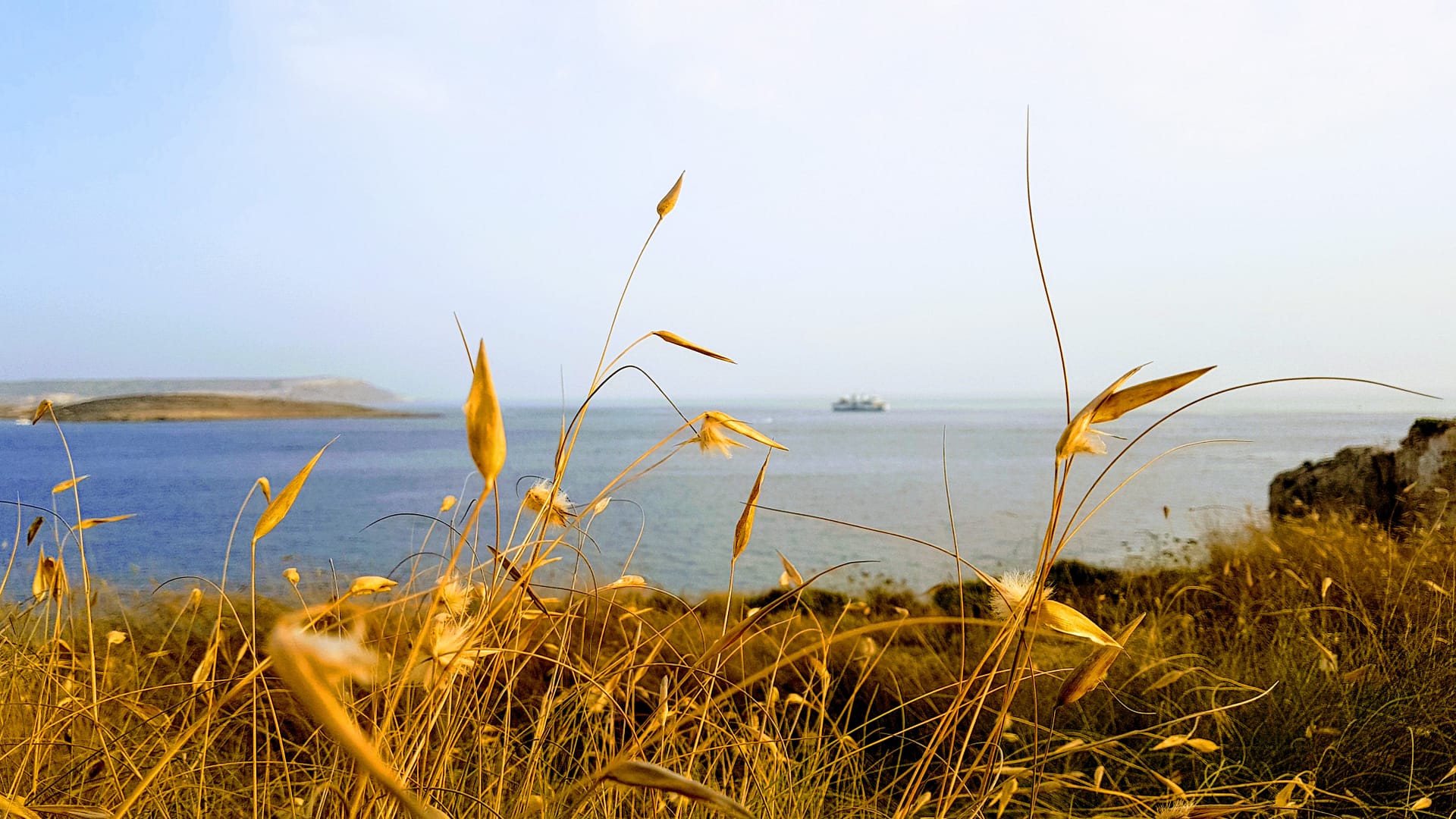 Gozo