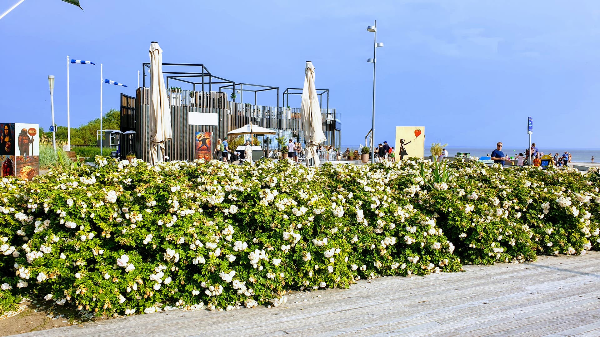 Pärnu