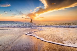 Live to travel - avainsana